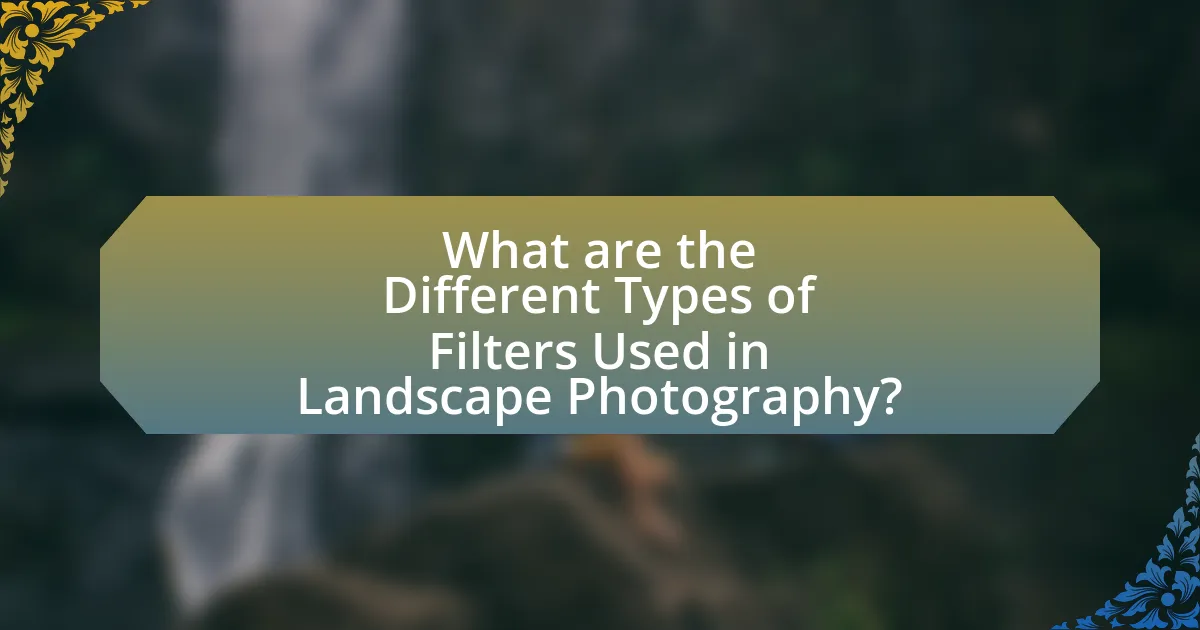 What are the Different Types of Filters Used in Landscape Photography?